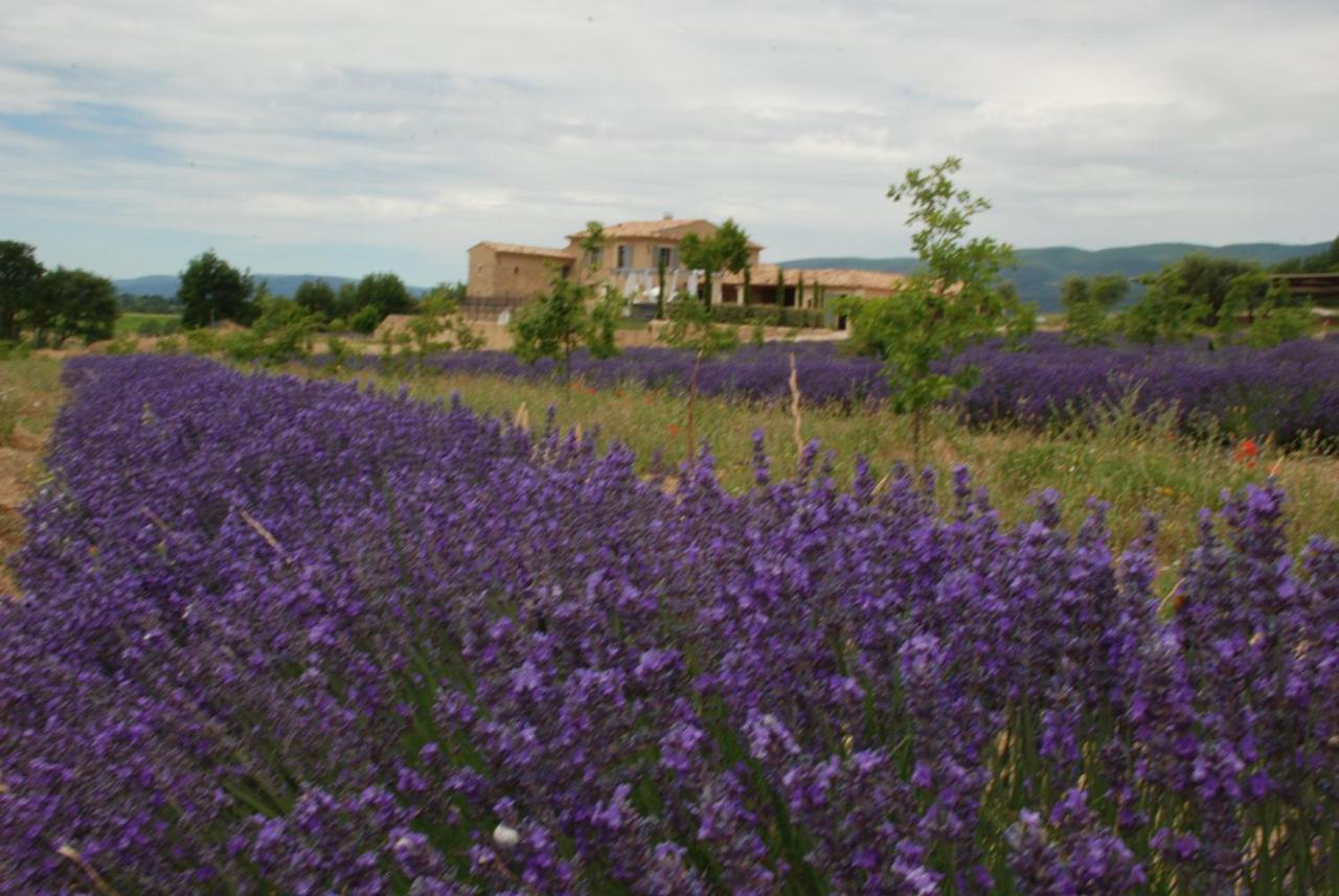 Bastide Saint Maurin Bed and Breakfast Ansouis Exteriör bild